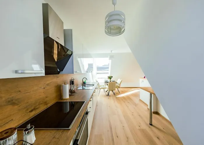 New Design Penthouse And * וינה